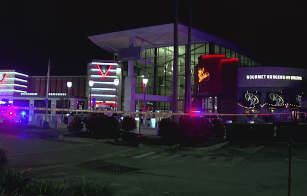 Deputies searching for suspect after boy shot, killed outside Red Robin at Citrus Park Town Center