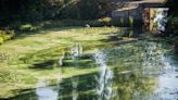 Scientists find revolutionary way to ‘sniff’ out deadly algae: ‘We need new and innovative monitoring’