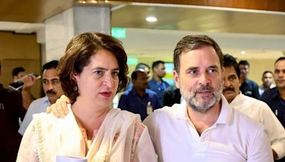 ‘Who’s more useless - Rahul or Priyanka': BJP attacks Gandhis over Rae Bareli-Wayanad call