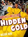 Hidden Gold (1940 film)