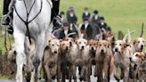 Voters back tougher fox hunting laws, poll suggests