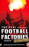 Football Hooligans International