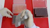 New push for mRNA bird flu vaccine development: WHO