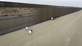 Texas Democrat praises Greg Abbott amid new border wall construction