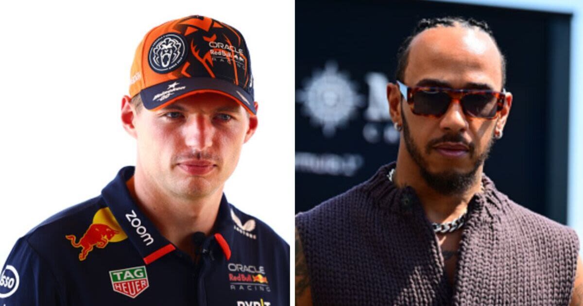 Verstappen needed ‘specialist’ to help ‘cure’ problem caused by Hamilton clash