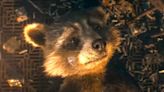 The Box Office Success of ‘Guardians of the Galaxy Vol. 3’ Hinges on Rocket’s Origin Story