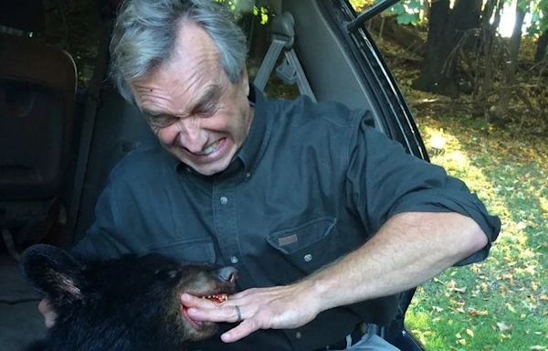 Watch: Robert F Kennedy Jr admits to dumping dead bear in Central Park