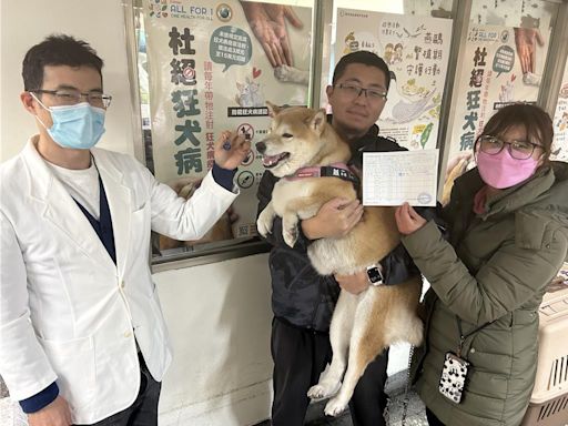 新北動保處關愛校園犬 「萌總柴」完成總體檢