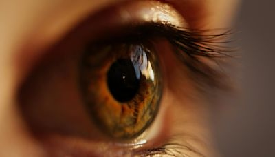 Taking a closer look at eye cancer: Research offers new insight into high rate of metastasis