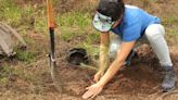 Bosque La Primavera: ¿Cuándo arrancan las jornadas de reforestación?