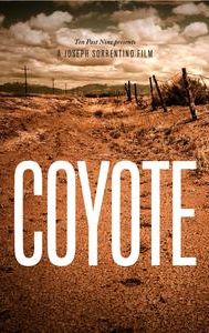 Coyote