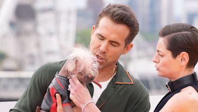 Ryan Reynolds pictured holding Dogpool at Deadpool and Wolverine photo call