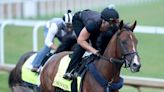 Meet the 20 horses racing in Saturday's Kentucky Derby