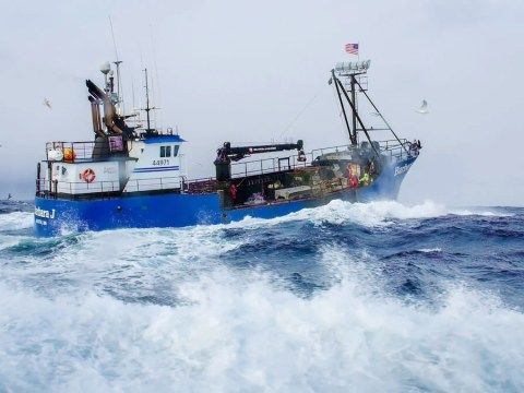 Deadliest Catch Season 20 Episode 9 Release Date, Time & Watch Online Free