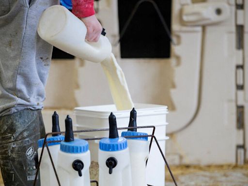 Listeria in Milk Alternatives Kills Two Canadians and Sickens 10 More