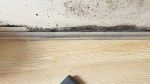 Yes, Mold Can Grow Under Laminate Flooring—Here’s What You Need to Know