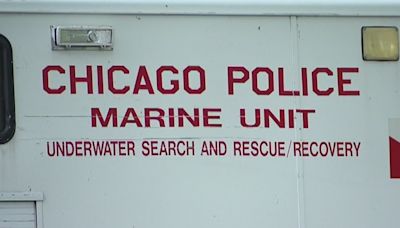 Body pulled from Chicago River in the Loop