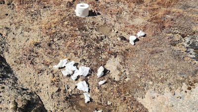 Park rangers demand visitors stop leaving used toilet paper behind in Yosemite