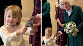 Little boy adorably tustles with Queen over toy dinosaur