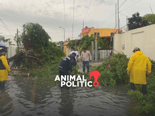 Quintana Roo: por lluvias, suspenden actividades recreativas en el mar y clases en Othón P. Blanco y Bacalar