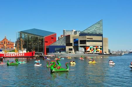 National Aquarium (Baltimore)