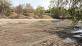 Peces muertos y un balneario natural abandonado, entre los estragos de la sequía en Veracruz