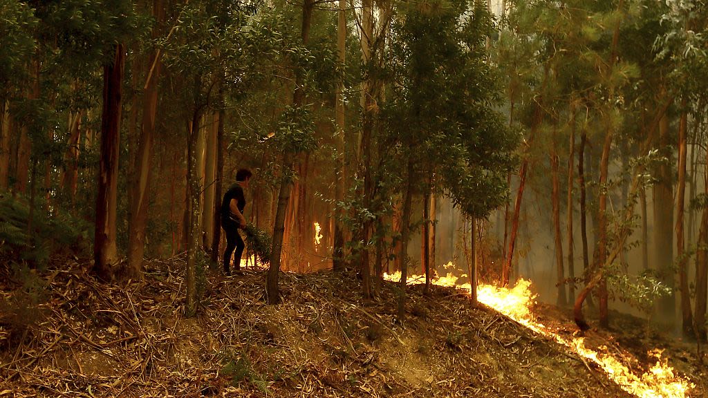 Portugal battles with fires: 62,000 hectares burned and seven lives lost