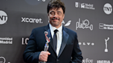 Benicio del Toro Joins Wes Anderson’s Next Movie Cast