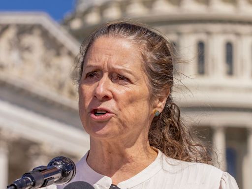 Abigail Disney: Biden, DNC Not Getting ‘Another Dime’ Until President Steps Aside