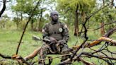 Chad rangers battle to protect park from poachers, local farmers