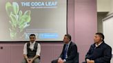 Expertos desvinculan la planta de coca de la cocaína y proponen usos alternativos