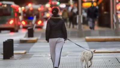 Clima en Buenos Aires: el pronóstico del tiempo para este martes 23 de julio | Jornada primaveral