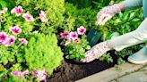 7 best plants to grow in clay soil