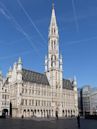 Brussels Town Hall