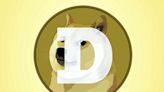 The Shiba Inu that became meme famous as the face of dogecoin has died. Kabosu was 18 | Chattanooga Times Free Press