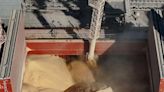 Primera exportación de harina de soja "sustentable" desde Argentina