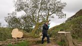 Two men charged over felling of Sycamore Gap tree