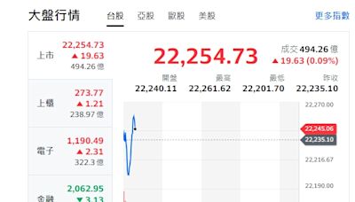 台股開盤》指數小跌小漲 分析師：若失守22230點 恐引發殺低取量
