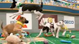 Puppy Bowl XIX: How do you adopt the puppies from Team Ruff and Team Fluff?