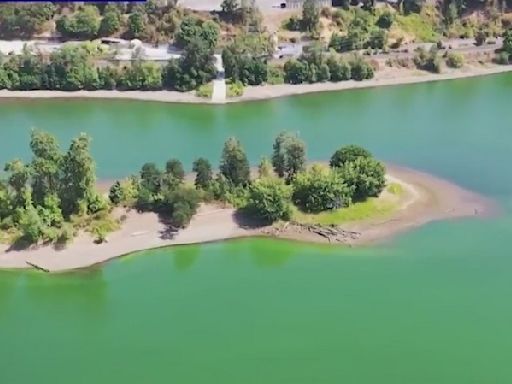 ‘Not an option not to fix it’: Willamette River project aims to end toxic algae blooms