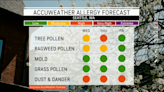 Your allergy forecast for the first days of May