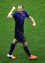 Ron Vlaar