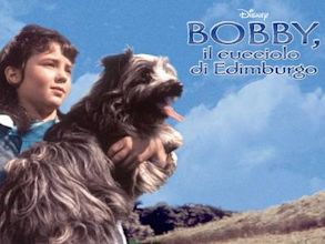 Greyfriars Bobby (film)