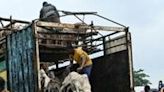 Ivory Coast has launched livestock projects in the north to increase national production
