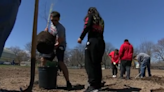 New community orchard at Green Bay East High School