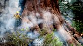 Yosemite wildfire threatens grove of iconic sequoia trees