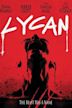 Lycan