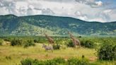 I’ve Worked in Safari Travel for More Than 20 Years — These Are the 4 National Parks in Tanzania I Send Travelers To