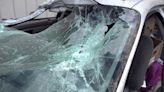 Woman killed when rock was thrown through her windshield