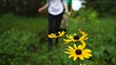 Nature Conservancy of Canada wants Calgarians to have a Backyard BioBlitz